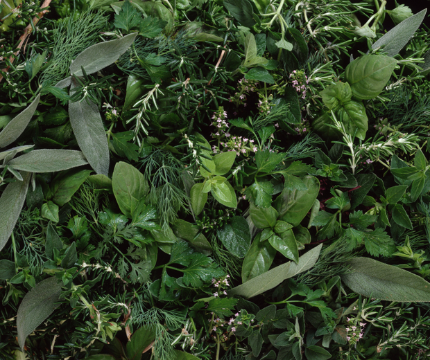 Banner image for: <h3>Produits d’herboristerie et d’aromathérapie</h3>