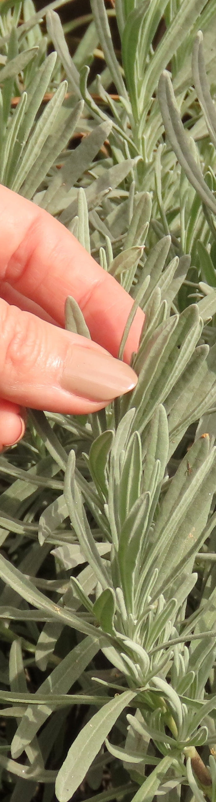 <h2><strong>Je vous accueille en boutique</strong></h2>