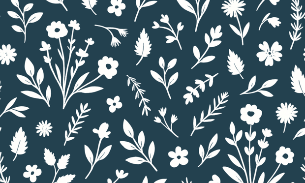 Banner image for: <h4>Consultez les heures d’ouverture de la boutique pour venir me rencontrer et vous informez!</h4>