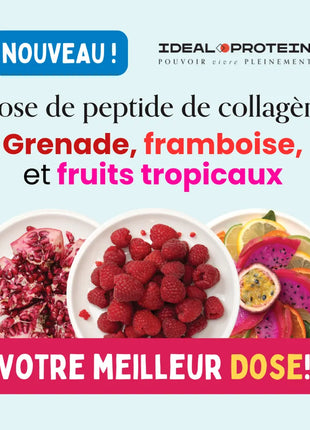 Collagène shots Ideal Protein